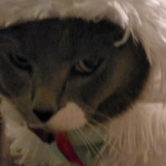 Meet your Posher, My - Picture 1 of 1